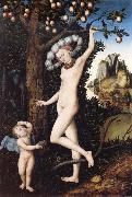 CRANACH, Lucas the Elder Venus and Cupid oil painting artist